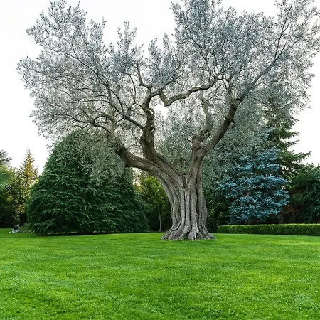 Monaco Mosciano SantʼAngelo