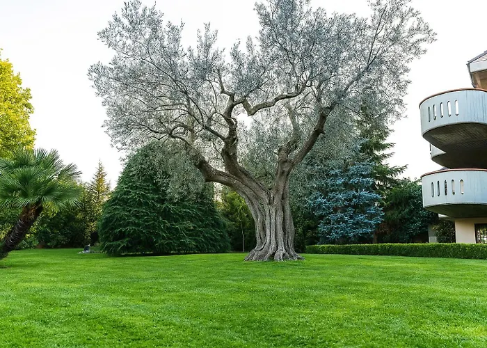 Monaco Mosciano SantʼAngelo